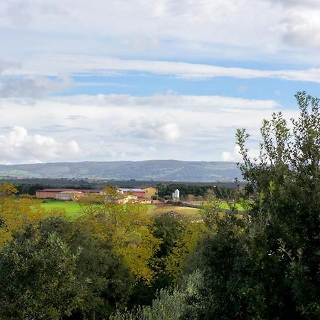 Agriturismo Nuragh'Elighe Sindia Eksteriør bilde