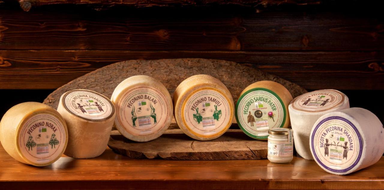 Agriturismo Nuragh'Elighe Sindia Eksteriør bilde