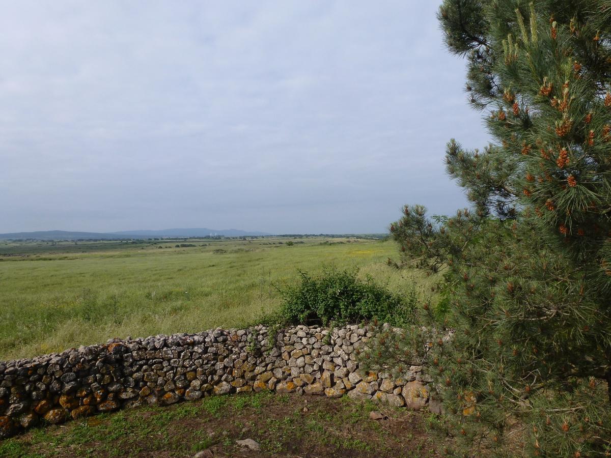 Agriturismo Nuragh'Elighe Sindia Eksteriør bilde