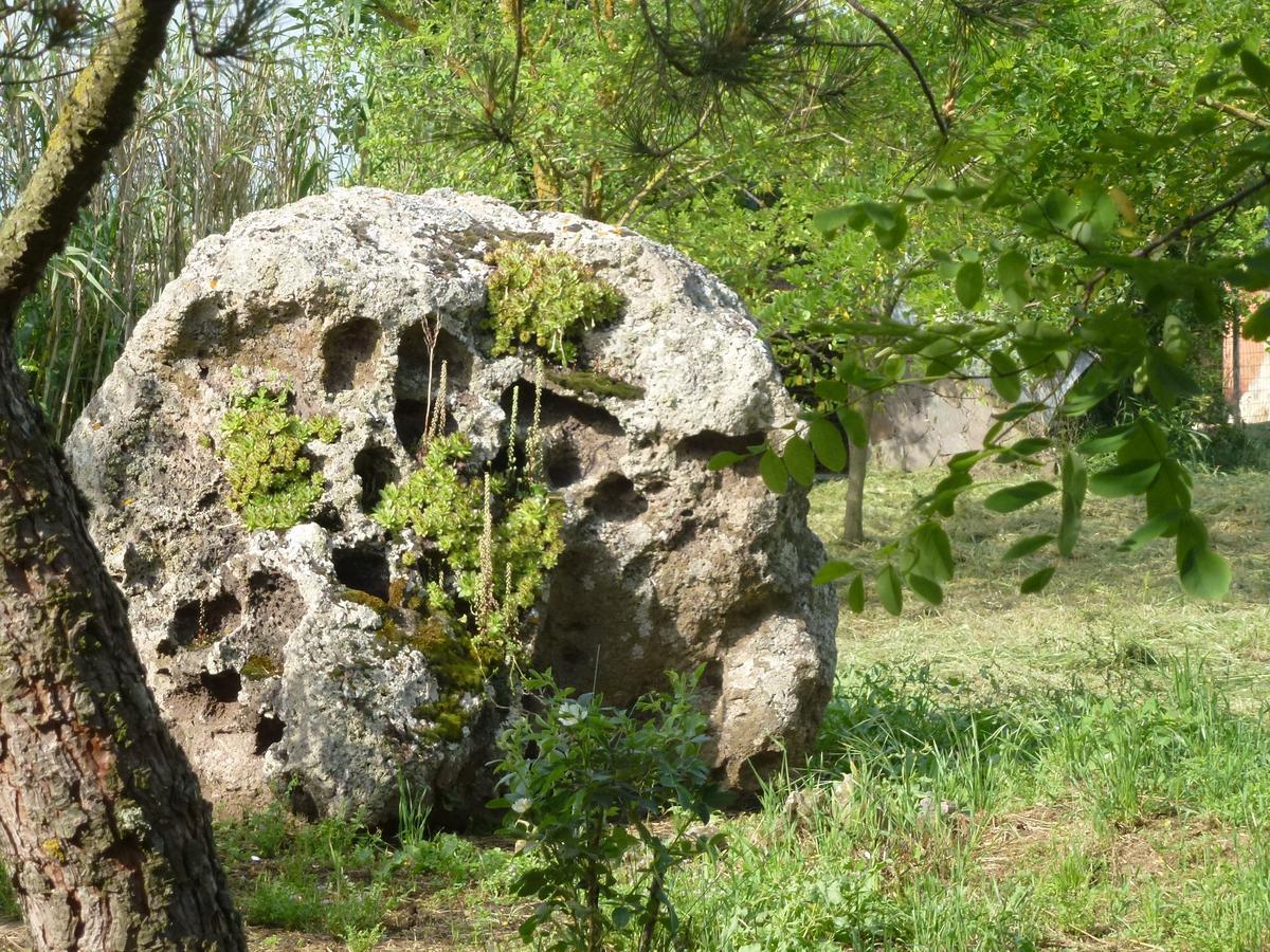 Agriturismo Nuragh'Elighe Sindia Eksteriør bilde